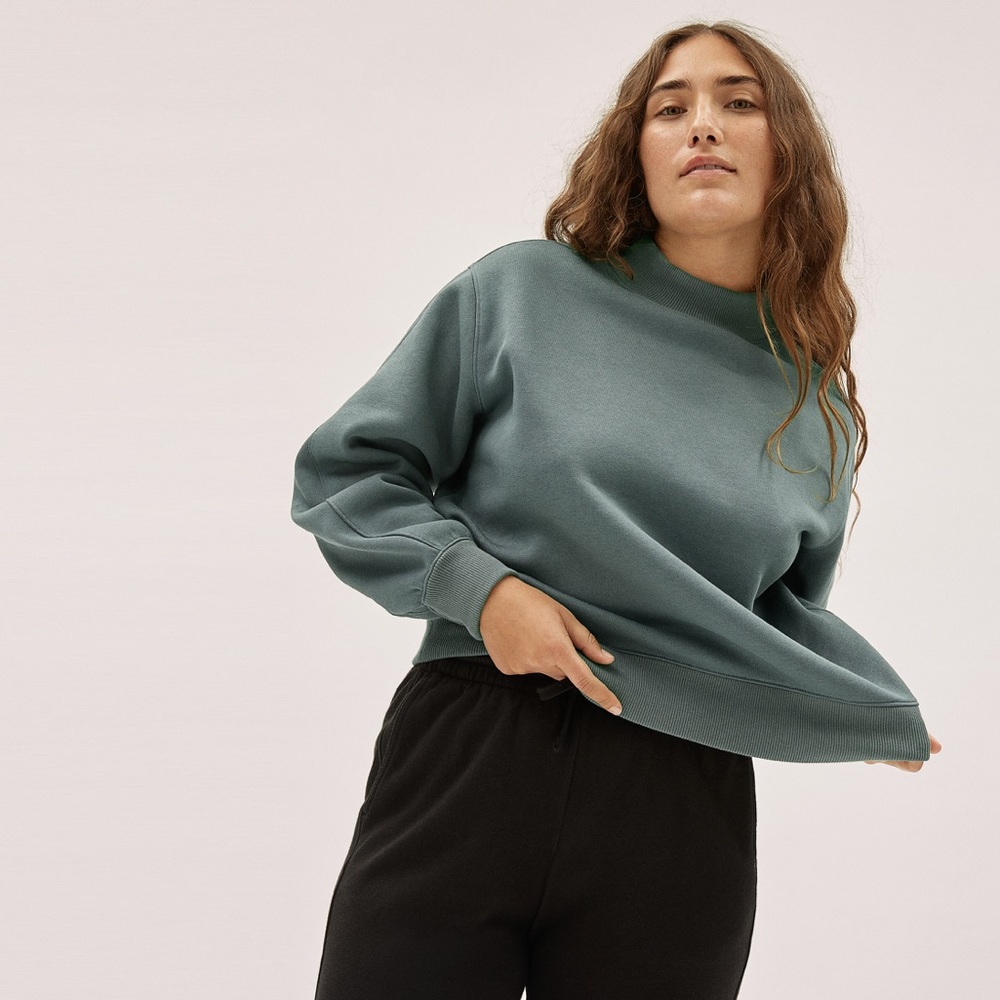 Everlane ReNew Mockneck Sweatshirt